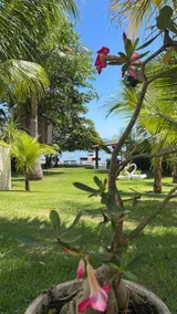 Casa Lagoa I in front of the dam - Image 2