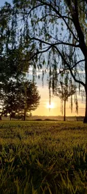 Breakfast | Pool | BBQ | Pet Friendly | Bikes - Image 3