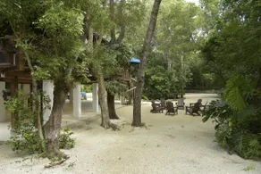 Luxury Treehouse | Ample Parking | - Image 3