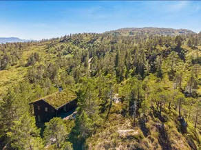 Blueberry hilltop - views, nature and tranquility - Image 5
