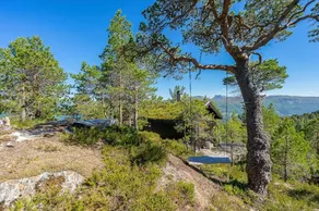 Blueberry hilltop - views, nature and tranquility - Image 2