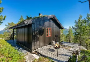 Blueberry hilltop - views, nature and tranquility - Image 3