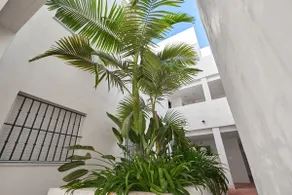 Beautiful 3 bedroom apartment in the best area of Costa Ballena - Image 3