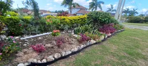 Palm Breeze Cottage - Image 2
