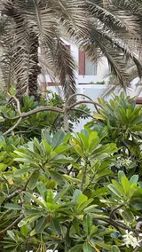 Garden&Pool View~2BHK(TheWalk) - Image 4