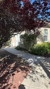 Gorgeous Casita(detached) in upscale neighborhood - Image 3