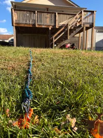 Oak Hill Retro Retreat - Image 5