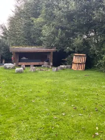 Cozy guest house in the countryside - Image 4