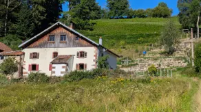 Chalet Vosges Montagne A secluded site for 2! - Image 2