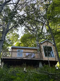 Ananda - Enchanted Forest Hideaway - Image 2