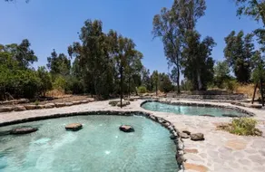 Under the Stars of the Golan - Image 2
