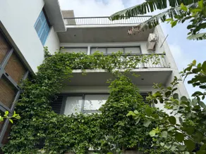 Urban Vines - Image 5