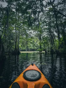 Blue Heron Cottage Lake Retreat - Image 3