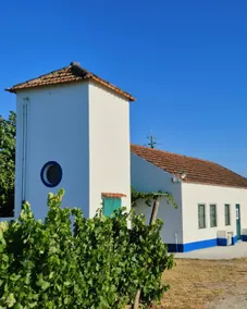 Casa da Figueira @ Quinta Nova da Machoca - Image 3
