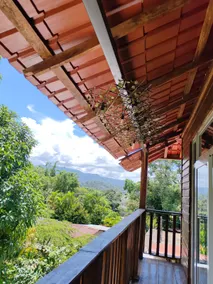 Loft in Puerto Barrios · La Casa de Lupita - Image 5