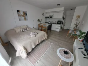 L&M Studio Suite - Image 2