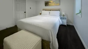 Modern Apartment Near Tweed -Yale -New Haven - Image 5