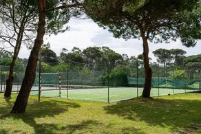 Ofir Nature Stay - Image 5