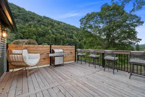 Misty Hollow Acres- 50 acre wildlife haven - Image 3