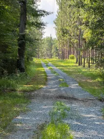 Tranquil Hollow Remote Retreat - Image 5