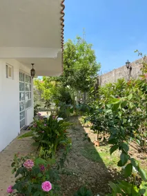 Entire home, nature, and relaxation. - Image 2