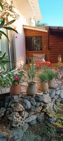 Rural B&B in the Upper Galilee - a perfect winter vacation - Image 2