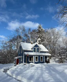 Cold Springs 1855 Log Cabin - Image 4