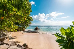Beach House Beau Vallon - Image 5