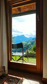 THE VOICE OF THE WOODS Selva di Cadore - Image 3