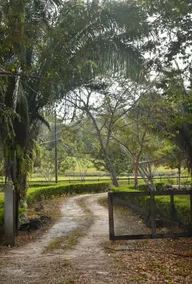 Captain Joe’s Hideaway - Image 4