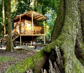 Up Ta Camp - Image 2