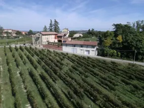 Casa Laura, a peaceful corner among vineyards and hills - Image 4