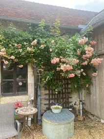 Sunflower Cottage - Image 4