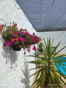 Cosy Andalucian hide-away for two in nature. - Image 4