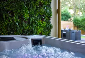 LOVE IN SPA Appartement Jacuzzi privé Jardin - Image 4