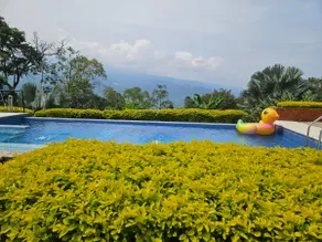 Hot weather pool farm - Image 3