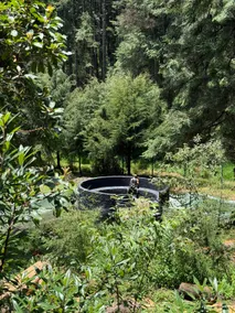 El Cedral & Mineral El Chico Private Forest Cabin - Image 5