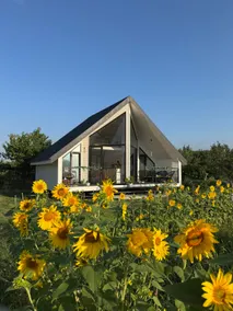 Yellow House_Natakhtari - Image 3