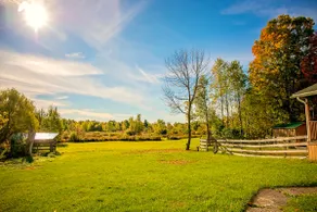 Willow View-Near SLU, Clarkson, SUNY Schools - Image 3