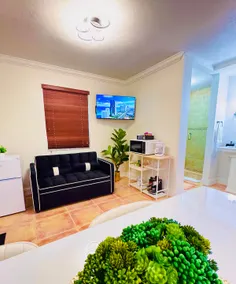 Miami Nest - Image 3