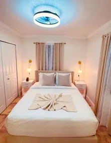 Miami Nest - Image 5