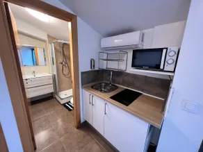 Large new penthouse, ocean view, terrace and balcony - Image 3