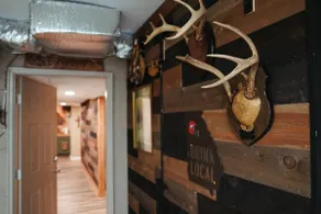 Classic City Country - new basement apt in Athens! - Image 4
