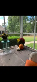In the Heart of Greenville, 5 minute drive to ECU - Image 5