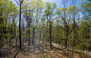 The Ridge @ Buena Vista Bluff - Image 5