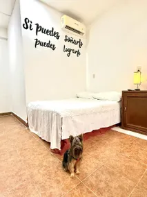 Bruno's house in downtown Torreón - Image 5