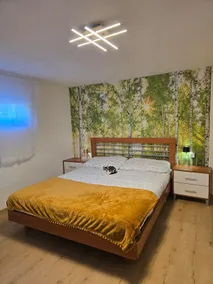 Basement apartment (min. 1.85 m) - Image 3