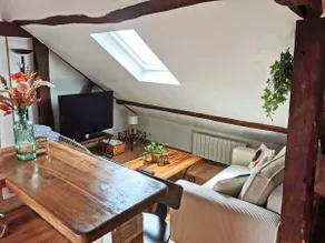 • Les Combles • air conditioning • Wi-Fi/TV/tram • eco-friendly accommodation - Image 3