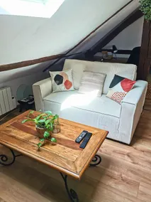 • Les Combles • air conditioning • Wi-Fi/TV/tram • eco-friendly accommodation - Image 4