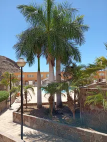The holiday home of the eternal sun - Image 5